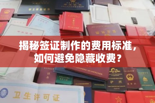 复兴揭秘签证制作的费用标准，如何避免隐藏收费？