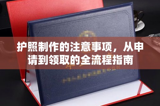 复兴护照制作的注意事项，从申请到领取的全流程指南